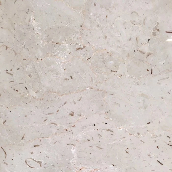 Perlato Royal Italian Marble Wall & Floor